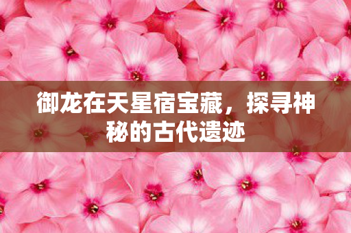 御龙在天星宿宝藏，探寻神秘的古代遗迹