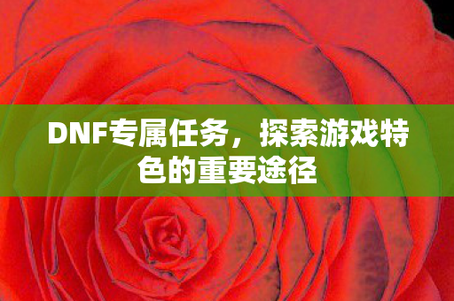 DNF专属任务，探索游戏特色的重要途径