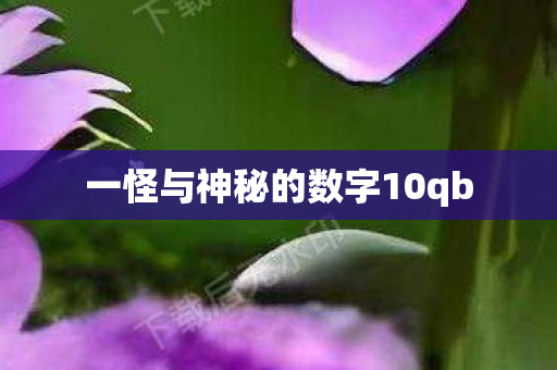 一怪与神秘的数字10qb 一怪与神秘的数字10qb