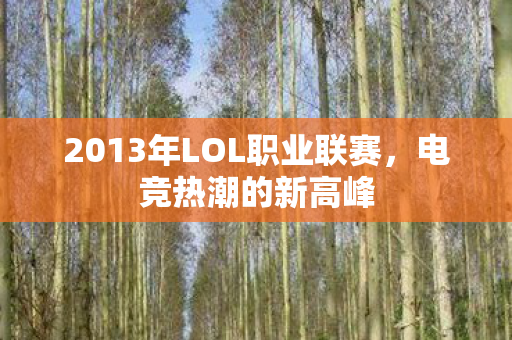 2013年LOL职业联赛，电竞热潮的新高峰