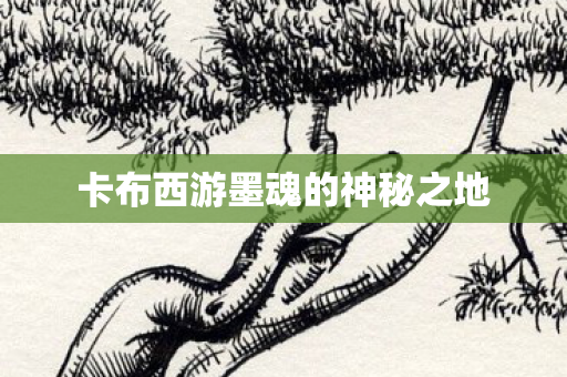 卡布西游墨魂的神秘之地 卡布西游墨魂的神秘之地