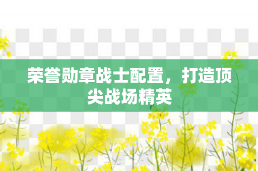 荣誉勋章战士配置,打造顶尖战场精英 荣誉勋章战士配置,打造顶尖战场精英