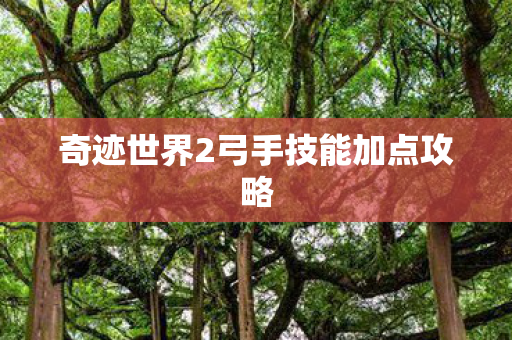 奇迹世界2弓手技能加点攻略