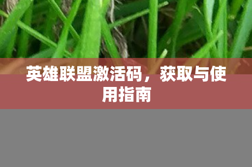 英雄联盟激活码,获取与使用指南 英雄联盟激活码,获取与使用指南