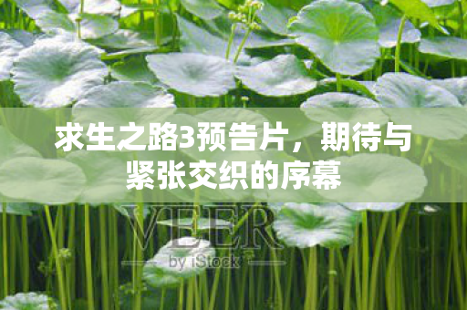 求生之路3预告片，期待与紧张交织的序幕