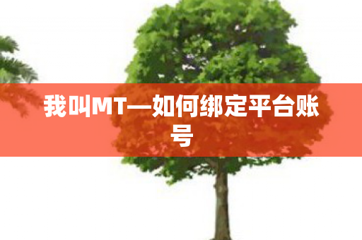 我叫MT—如何绑定平台账号