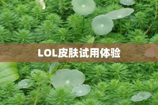 LOL皮肤试用体验