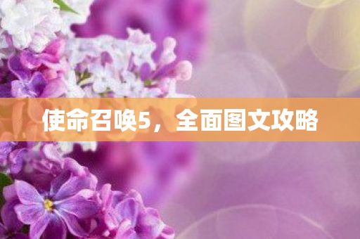 使命召唤5，全面图文攻略