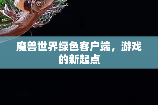 魔兽世界绿色客户端,游戏的新起点 魔兽世界绿色客户端,游戏的新起点