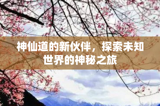 神仙道的新伙伴，探索未知世界的神秘之旅