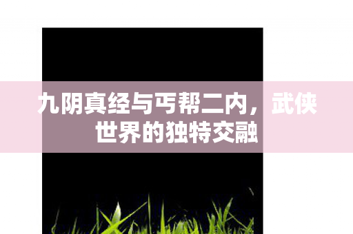 九阴真经与丐帮二内,武侠世界的独特交融 九阴真经与丐帮二内,武侠世界的独特交融