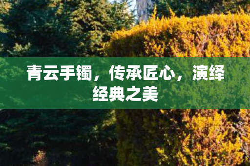 青云手镯,传承匠心,演绎经典之美 青云手镯,传承匠心,演绎经典之美