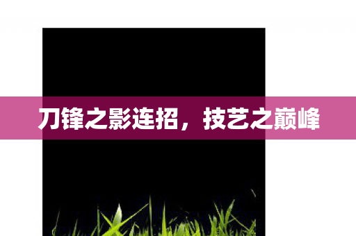 刀锋之影连招，技艺之巅峰