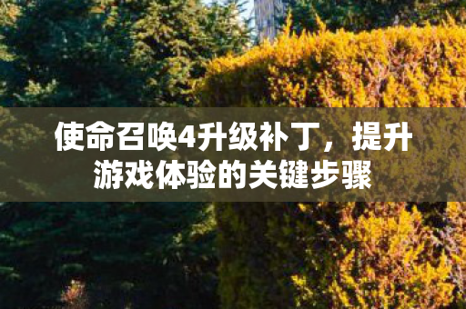 使命召唤4升级补丁,提升游戏体验的关键步骤 使命召唤4升级补丁,提升游戏体验的关键步骤