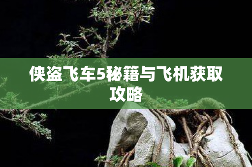 侠盗飞车5秘籍与飞机获取攻略