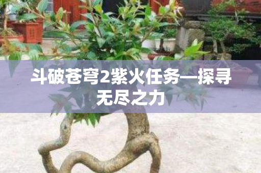 斗破苍穹2紫火任务—探寻无尽之力 斗破苍穹2紫火任务—探寻无尽之力