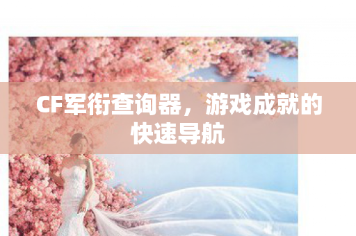 CF军衔查询器，游戏成就的快速导航