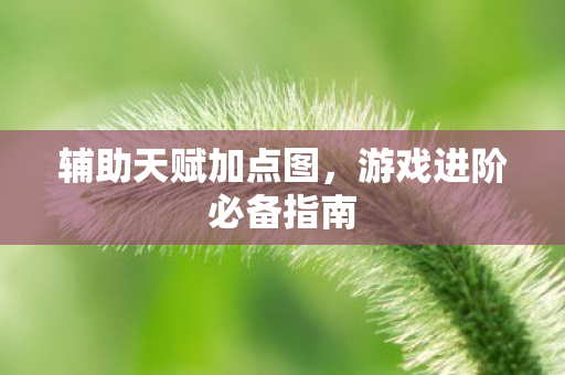 辅助天赋加点图，游戏进阶必备指南