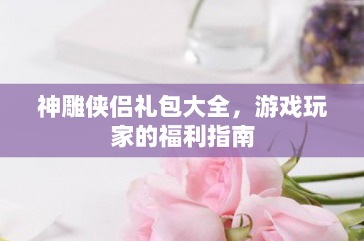 神雕侠侣礼包大全,游戏玩家的福利指南 神雕侠侣礼包大全,游戏玩家的福利指南