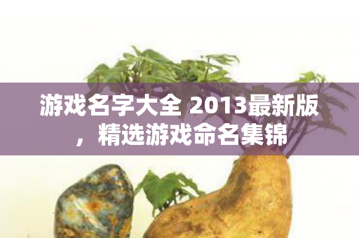 游戏名字大全 2013最新版，精选游戏命名集锦