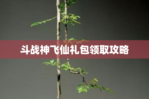 斗战神飞仙礼包领取攻略 斗战神飞仙礼包领取攻略