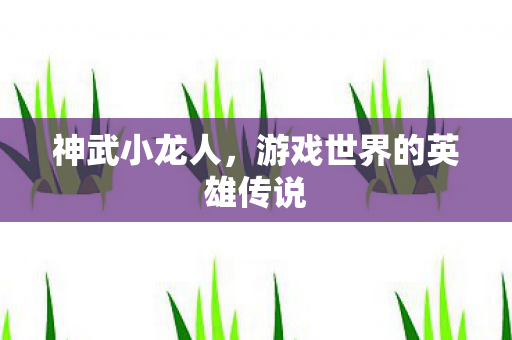 神武小龙人，游戏世界的英雄传说