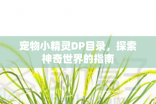 宠物小精灵DP目录，探索神奇世界的指南