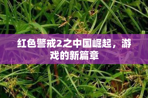 红色警戒2之中国崛起,游戏的新篇章 红色警戒2之中国崛起,游戏的新篇章