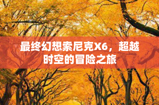 最终幻想索尼克X6，超越时空的冒险之旅