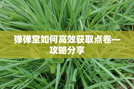 弹弹堂如何高效获取点卷—攻略分享