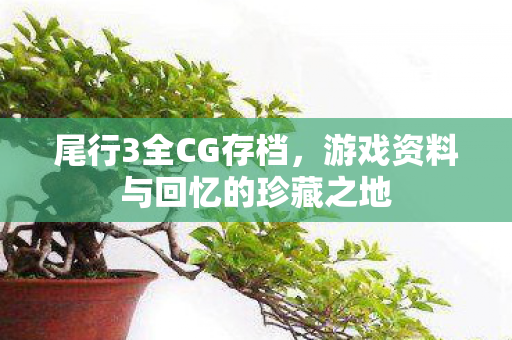 尾行3全CG存档，游戏资料与回忆的珍藏之地