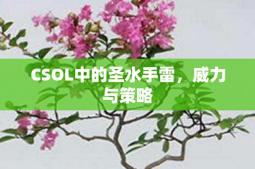CSOL中的圣水手雷，威力与策略