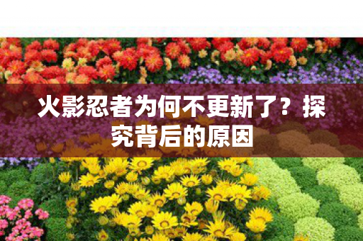 火影忍者为何不更新了？探究背后的原因