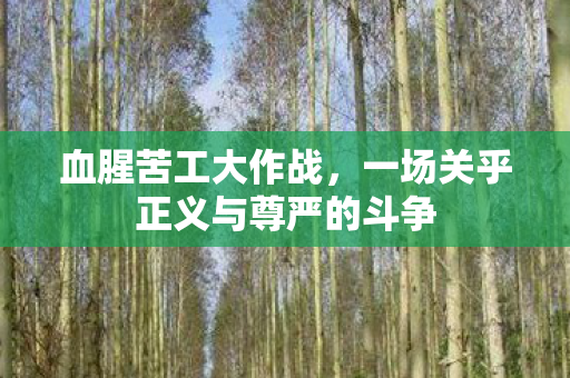 血腥苦工大作战，一场关乎正义与尊严的斗争