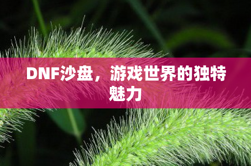 DNF沙盘，游戏世界的独特魅力