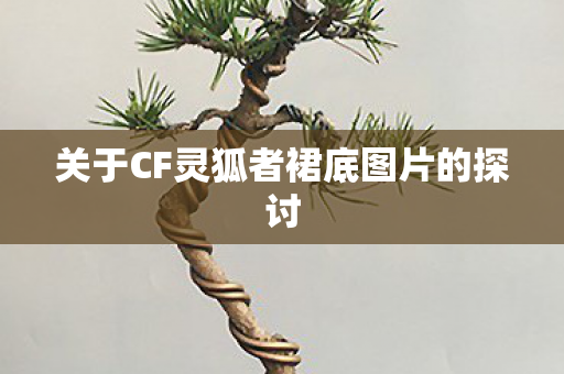 关于CF灵狐者裙底图片的探讨