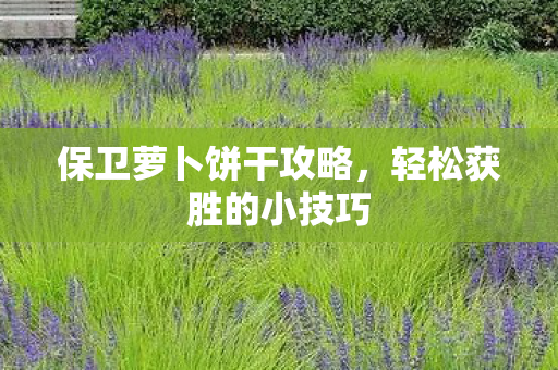保卫萝卜饼干攻略，轻松获胜的小技巧
