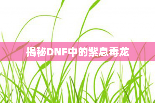 揭秘DNF中的紫息毒龙 揭秘DNF中的紫息毒龙