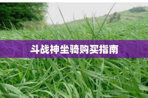 斗战神坐骑购买指南