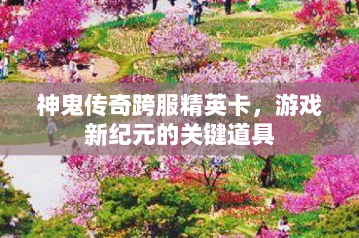 神鬼传奇跨服精英卡，游戏新纪元的关键道具