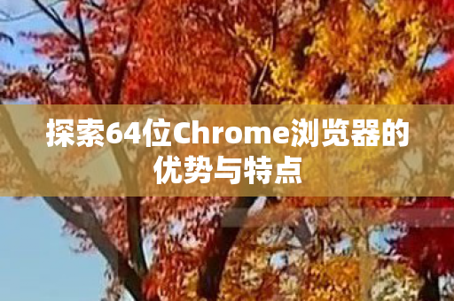 探索64位Chrome浏览器的优势与特点