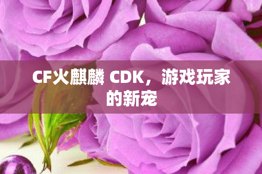 CF火麒麟 CDK,游戏玩家的新宠 CF火麒麟 CDK,游戏玩家的新宠