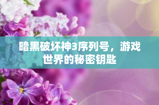 暗黑破坏神3序列号，游戏世界的秘密钥匙