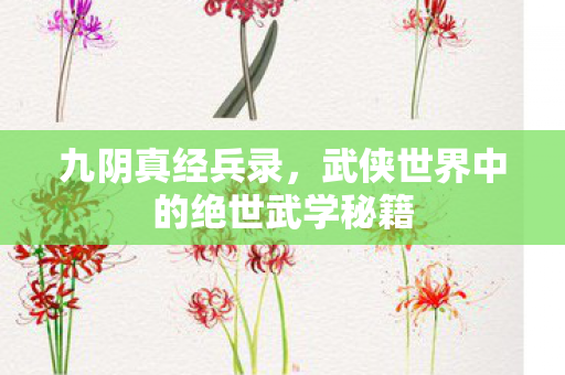 九阴真经兵录，武侠世界中的绝世武学秘籍