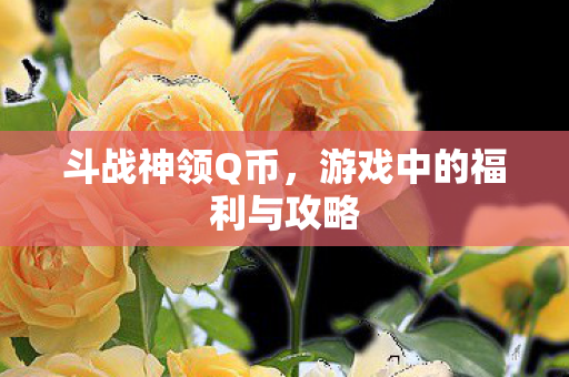 斗战神领Q币，游戏中的福利与攻略