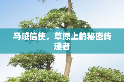 马贼信使,草原上的秘密传递者 马贼信使,草原上的秘密传递者