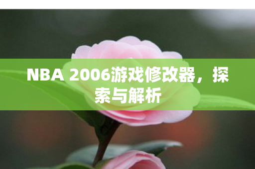NBA 2006游戏修改器,探索与解析 NBA 2006游戏修改器,探索与解析