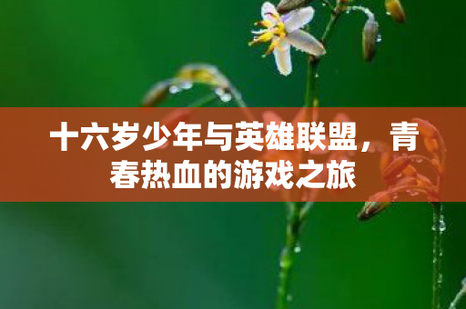 十六岁少年与英雄联盟，青春热血的游戏之旅