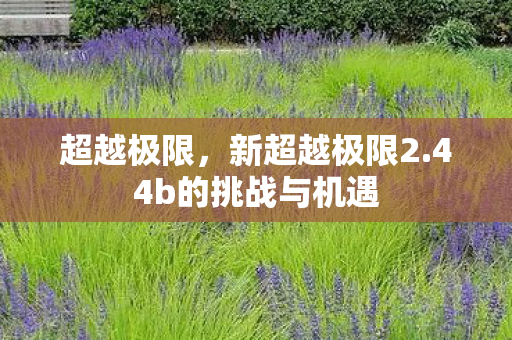 超越极限，新超越极限2.44b的挑战与机遇