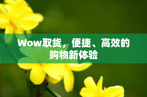 Wow取货,便捷、高效的购物新体验 Wow取货,便捷、高效的购物新体验